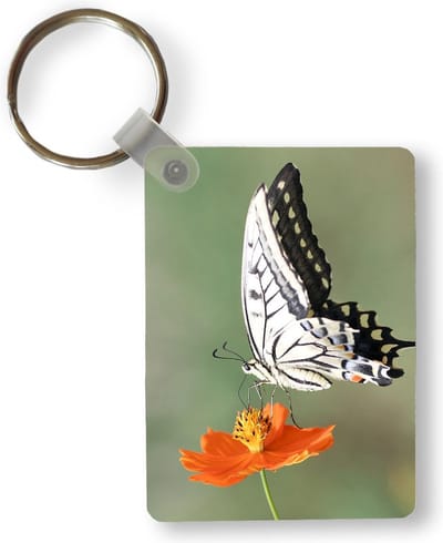 Sleutelhanger - Witte vlinder op een oranje bloem - Uitdeelcadeautjes - Plastic