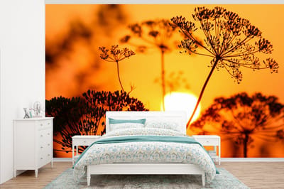 Behang - Fotobehang Planten - Bloemen - Zonsondergang - Oranje - Breedte 405 cm x hoogte 260 cm