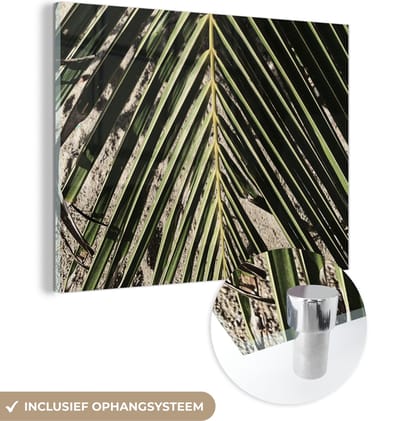 MuchoWow® Glasschilderij 160x120 cm - Schilderij acrylglas - Palmblad - Tropisch - Zomer - Foto op glas - Schilderijen