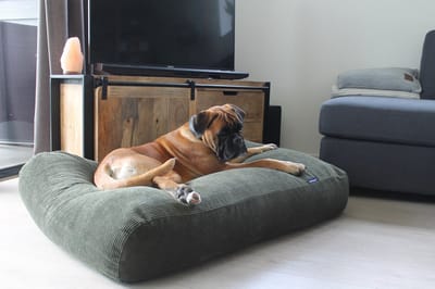 Dog's Companion Hondenkussen / Hondenbed - XS - 55 x 45 cm - Hunting Ribcord