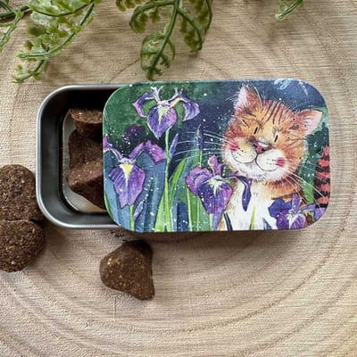 Alex Clark Sliding little Tin Out at Night ~ Langwerpig klein opbergblikje Kat
