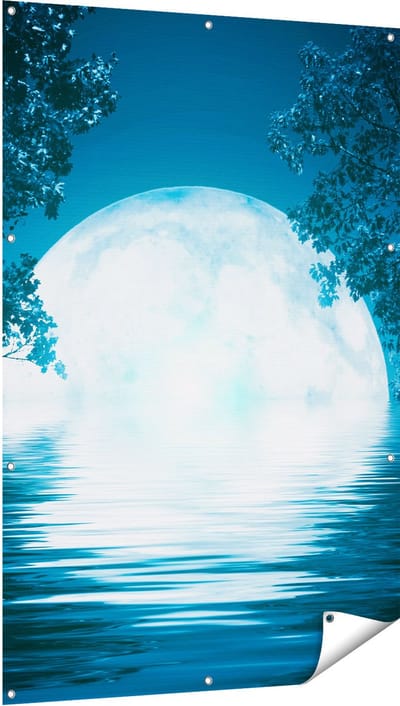 Gards Tuinposter Volle Maan in het Water - 100x150 cm - Tuindoek - Tuindecoratie - Wanddecoratie buiten - Tuinschilderij