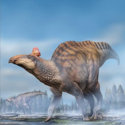 Dinosaure de Haute Qualité Roi de Haute Qualité Edmontosaure Ensemble de Construction de Haute Qualité 80 Croissance de Haute Qualité Compagnon de Haute Qualité gray