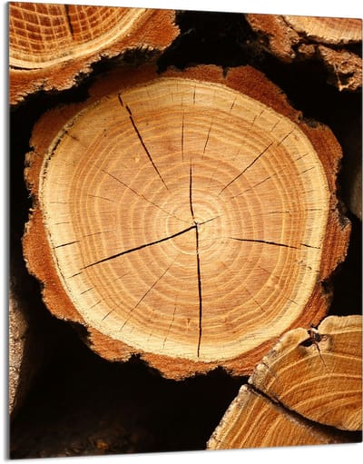 TMK ArtDeko - Snijplank - Glas - 40x52cm - Houten Print