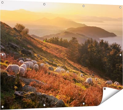 Gards Tuinposter Schapen in de Bergen - 120x90 cm - Tuindoek - Tuindecoratie - Wanddecoratie buiten - Tuinschilderij