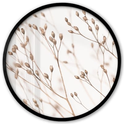 Poster in lijst Rond - Fotolijst 40x40 cm - Posters - Natuur - Planten - Tak - Wit - Bruin - Droogbloemen - Ronde posterlijst zwart - Decoratie - Wanddecoratie woonkamer - Muurdecoratie slaapkamer
