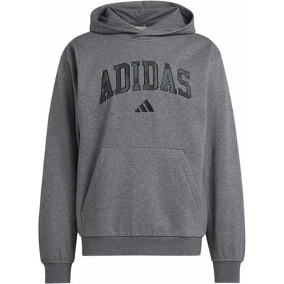 Hoodie adidas Essentials Camo