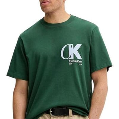 T-shirt Korte Mouw Calvin Klein Jeans Ss 20s Eu