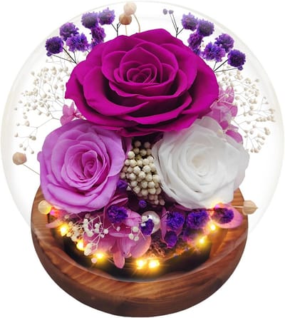 Eeuwige Roos in Glazen Stolp met LED Verlichting - Perfect Cadeau
