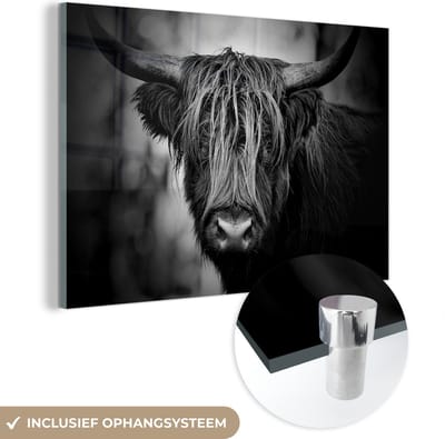 MuchoWow® Glasschilderij 120x80 cm - Schilderij acrylglas - Schotse hooglander - Licht - Portret - Natuur - Foto op glas - Schilderijen