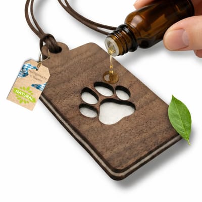 Dailygoods- Geurboom handgemaakt - Houten diffuser - 100% walnoot - Herbruikbaar met vilten pad - Stijlvolle luchtverfrisser - Elegante geurervaring - Autogeur