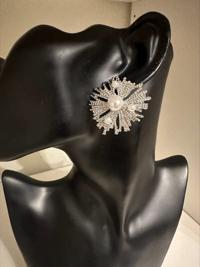 zilverkleurige oorbellen | Make up | Parfum | Moederdag | Verjaardagscadeau| Cadeautje| Valentijnsdag| Kado | sieraden | vaderdag | oorbellen | oorsieraden