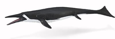 COLLECTA Figurine - Shastasaurus - (L) - Prehistorie - Handgeschilderd - Miniatuur