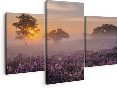 Artaza Canvas Schilderij Drieluik Weide in de Veluwe bij Zonsondergang - 150x120 - Groot - Foto Op Canvas - Canvas Print