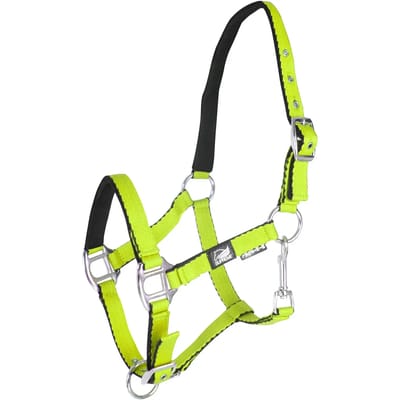 Halsband voor veulen met dubbele afstelling Supreme