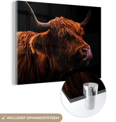 MuchoWow® Glasschilderij 160x120 cm - Schilderij acrylglas - Schotse Hooglander - Tong - Neus - Foto op glas - Schilderijen