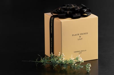 Cereria Mollà 1899 Geurkaars XL 600gr 80 h Black Orchid & Lily katoenen lont sojawas luxe kaars 3 wieken