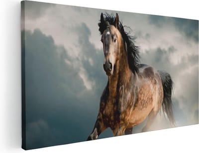 Artaza Canvas Schilderij Paard - 40x20 cm - Klein - Wanddecoratie Dieren - Muurdecoratie Woonkamer - Schilderijen Op Canvas