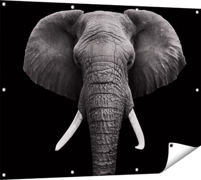 Gards Tuinposter Olifantenkop - Olifant - Zwart Wit - 120x90 cm - Tuindoek - Tuindecoratie - Wanddecoratie buiten - Tuinschilderij