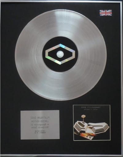 Muziek Memorabilia - Platina Plaat - Muur Decoratie - Gelimiteerde Oplage - 50x40 cm - Zilver