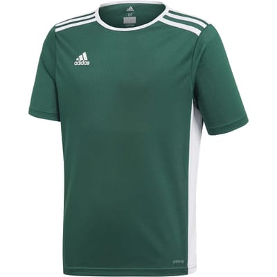 adidas Entrada 18 Sportshirt - Maat 116  - Unisex - groen,wit