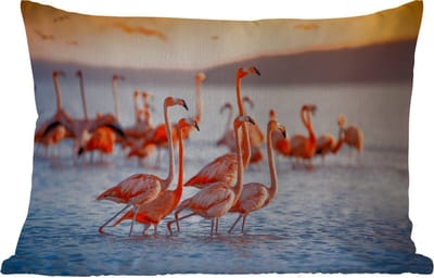 Buitenkussens - Tuin - Flamingo - Dieren - Water - Roze - 50x30 cm