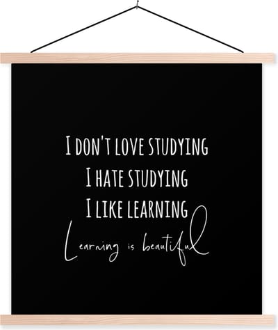 Posterhanger incl. Poster 40x40 cm - Schoolplaat - Quote - Studeren - Leren - Zwart - Textielposter - Blanke latten