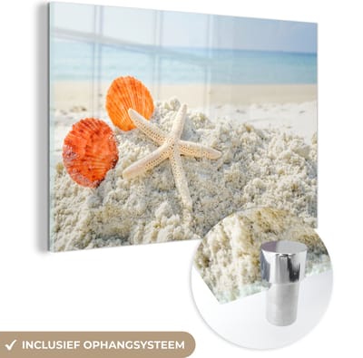 MuchoWow® Glasschilderij 120x80 cm - Schilderij acrylglas - Schelpen - Zeester - Zand - Foto op glas - Muurdecoratie woonkamer - Wanddecoratie slaapkamer - Schilderijen