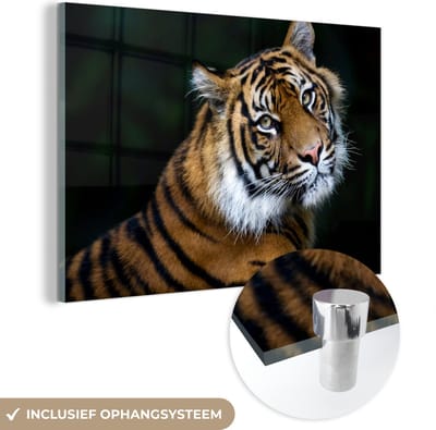 MuchoWow® Glasschilderij 60x40 cm - Schilderij acrylglas - Tijger - Portret - Zwart - Foto op glas - Schilderijen