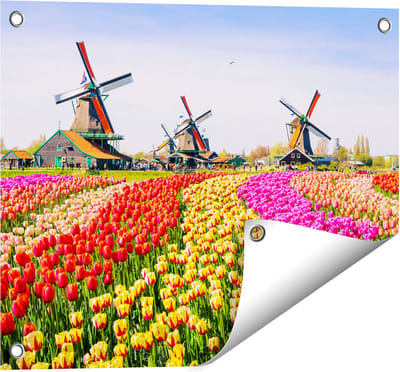 Gards Tuinposter Kleurrijke Tulpen Bloemenveld - Windmolen - 50x40 cm - Tuindoek - Tuindecoratie - Wanddecoratie buiten - Tuinschilderij