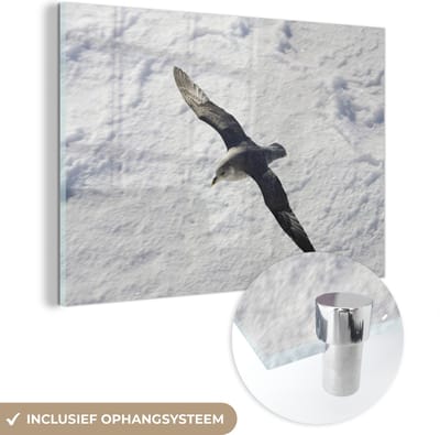 ® Glasschilderij 180x120 cm - Schilderij acrylglas - Noordse stormvogel boven het winterlandschap van Noorwegen - Foto op glas - Muurdecoratie woonkamer - Wanddecoratie slaapkamer - Schilderijen