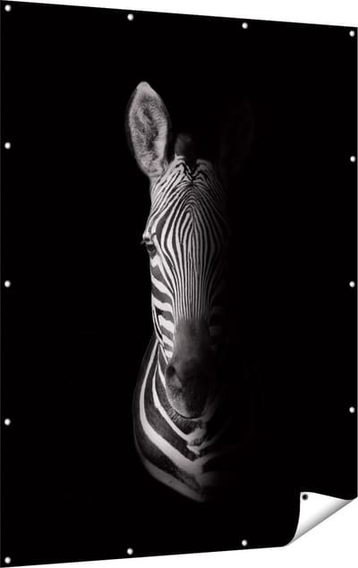 Gards Tuinposter Halve Zebra - Zwart Wit - 120x160 cm - Tuindoek - Tuindecoratie - Wanddecoratie buiten - Tuinschilderij