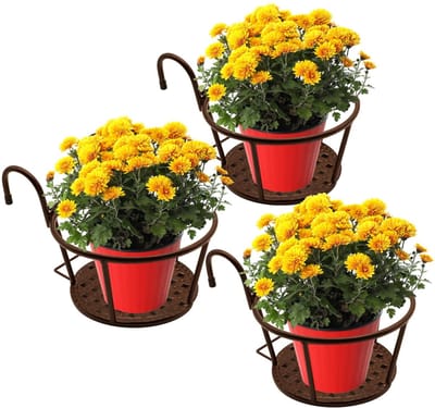Dailygoods- Bloemmanden - Hoogwaardige Stalen Beugel - Hangpotten Binnen/Buiten - Waterdicht - Antislip - Eenvoudige Montage - Hangpot