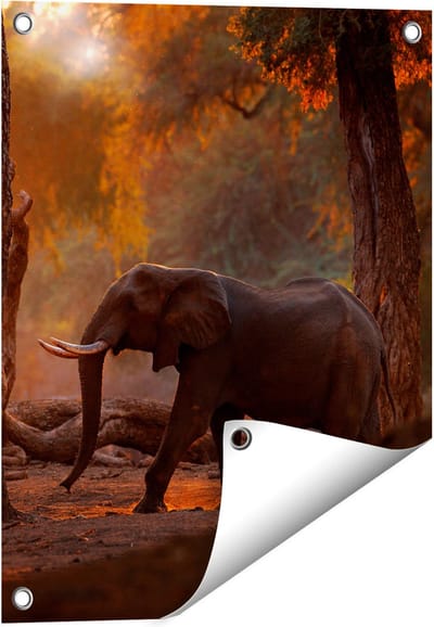 Gards Tuinposter Olifant in het Bos - 40x50 cm - Tuindoek - Tuindecoratie - Wanddecoratie buiten - Tuinschilderij