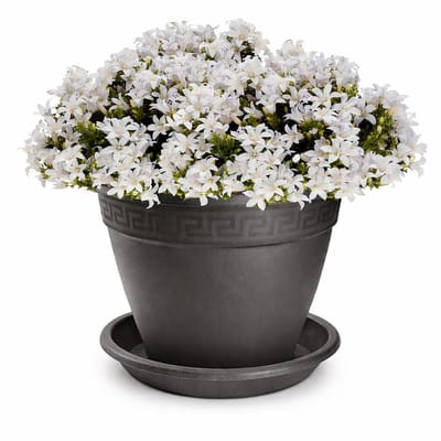 Plasticforte plantenpot met opvang schaal - antraciet - rond - D30 x H23 cm - kunststof - buiten - tuin - bloempot