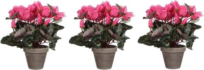 Mica Decorations Roze cyclaam kunstplant en met bloemen 30 cm in grijze pot - Voordeelset van 3x stuks - Kunstplanten/nepplanten - Huis of kantoor