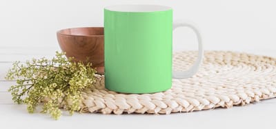 Mok - Koffiemok - Papegaai - IJshoorntjes - IJs - Wit - Groen - Mokken - 350 ML - Beker - Koffiemokken - Theemok