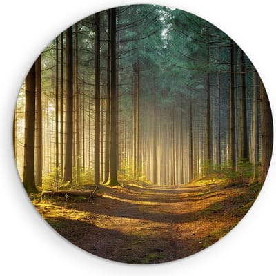 Saammp Muurcirkel Hout - Bospad tussen de bomen - Landschap - Natuur - Ø 90 - Wandcirkel - Wanddecoratie Cirkel - Muurdecoratie Woonkamer - Slaapkamer decoratie - Rond Schilderij