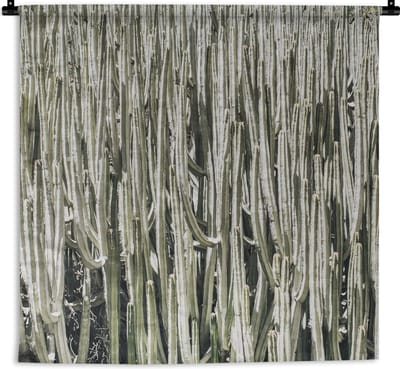 Wandkleed - Wanddoek - Cactus - Natuur - Vetplanten - 180x180 cm - Wandtapijt