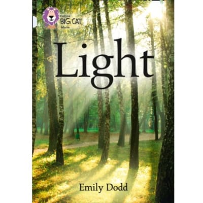 Light - Emily Dodd