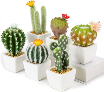 SnelShoppen - Set van 6 Mini Kunstmatige Cactus Planten in Ceramische Potten - Assortiment Kunstmatige Succulenten - Decoratieve Nep Cactusjes voor Th