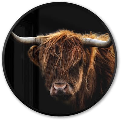Poster in lijst Rond - Fotolijst 60x60 cm - Posters - Schotse Hooglander - Horens - Zwart - Dieren - Natuur - Wild - Koe - Ronde posterlijst zwart - Decoratie - Wanddecoratie woonkamer - Muurdecoratie slaapkamer