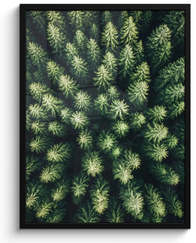Poster in lijst - Fotolijst 50x70 cm - Posters - Bomen - Naaldwoud - Structuur - Posterlijst zwart - Decoratie - Wanddecoratie woonkamer - Muurdecoratie slaapkamer