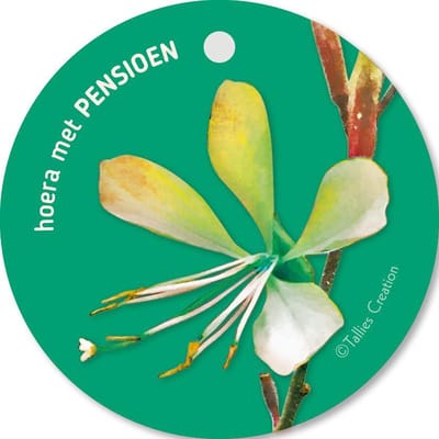Tallies Cards - kadokaartjes  - bloemenkaartjes - Pensioen - Flowerpower - set van 5 kaarten - VUT/pensioen - pensionering - 100% Duurzaam