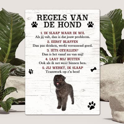 Spreuken - Bouvier des Flanders - Regels Van De Hond - Spreuken Bordjes - Spreukenbord - Tekstborden - Cadeau - Hondenras