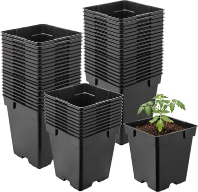 Garronda Set van 50 vierkante kunststof kweekpotten met drainagegaten voor tuin (Zwart, 11 x 11 x 12 cm (1L)) GD-KW-S