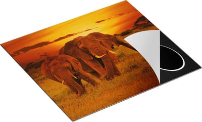 Chefcare Inductie Beschermer Olifanten in het Wild - Zonsondergang - 60x50 cm - Afdekplaat Inductie - Kookplaat Beschermer - Inductie Mat