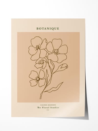 Botaniq Bloemenstudie Poster - Poster 60x90 cm - Sfeervolle Wanddecoratie voor Woonkamer & Slaapkamer - Premium papier - zonder lijst