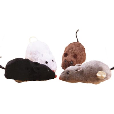 Prank Rat Muis Kat Teaser Huisdier Speelgoed Opwindbaar Nieuwigheid Enge Truc Grappig Speelgoed Thanksgiving Kerstcadeaus (as the picture,OneSize)