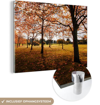 MuchoWow® Glasschilderij 40x30 cm - Schilderij acrylglas - Herfst - Herfstbladeren - Natuur - Foto op glas - Schilderijen
